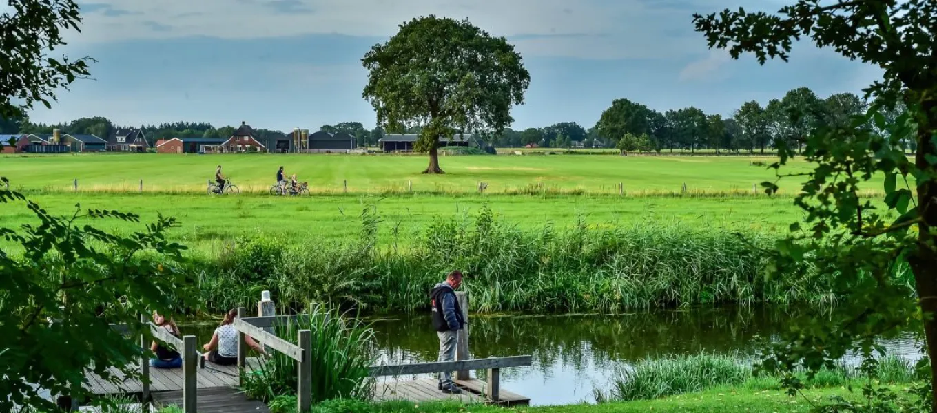 a beautiful view of nature around Dalfsen, with the Vecht river seperating meadows
